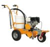 Parking Lot Line Striper, Gas Powered
